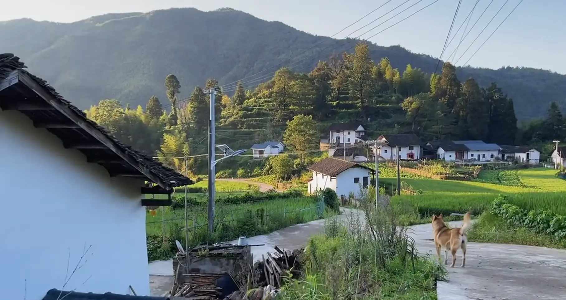 梦有归处