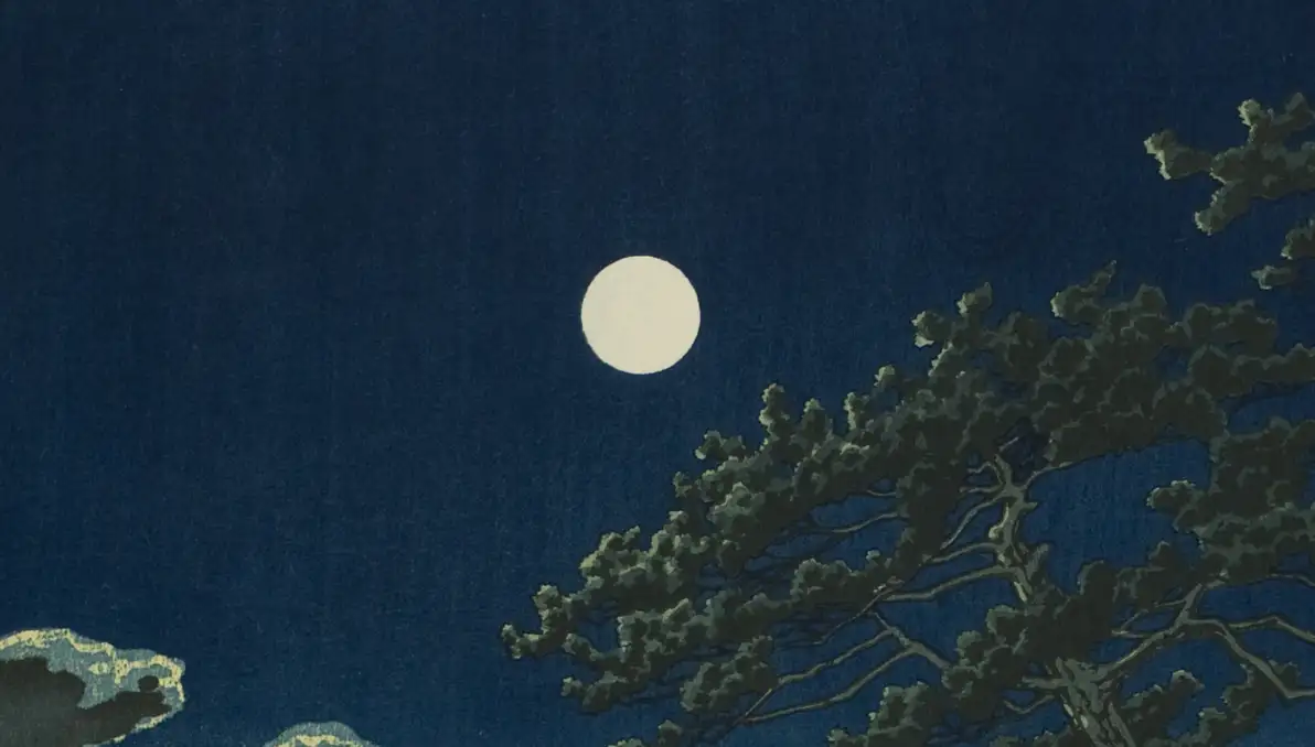 月挂明枝,漾人间四月——阅《林徽因传》有感